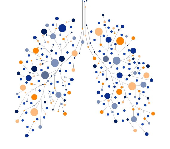 Oxygen Delivery System